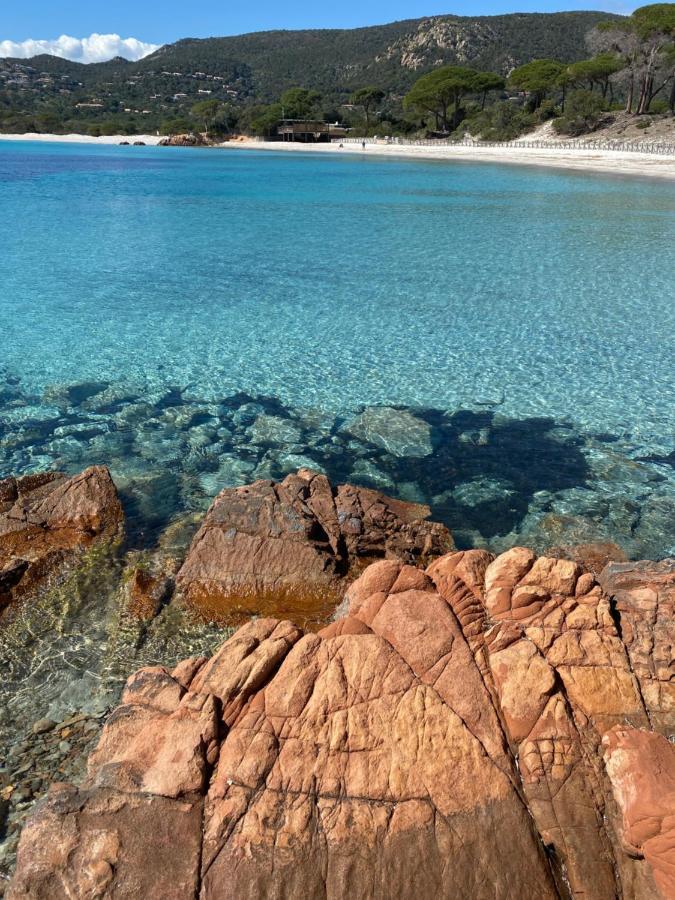 ホテル Palombaggia Location I Pini Porto Vecchio エクステリア 写真