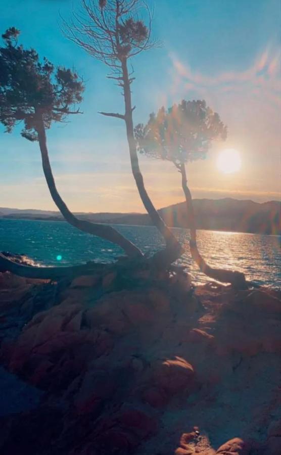 ホテル Palombaggia Location I Pini Porto Vecchio エクステリア 写真