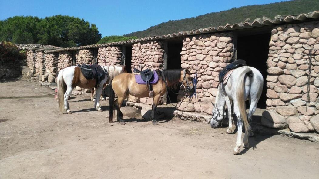 ホテル Palombaggia Location I Pini Porto Vecchio エクステリア 写真